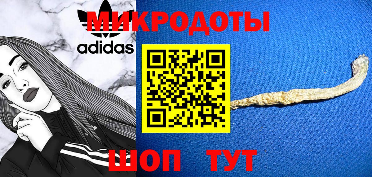Галлюциногенные грибы MAGIC MUSHROOMS  Вход с VPN  Переславль-Залесский 